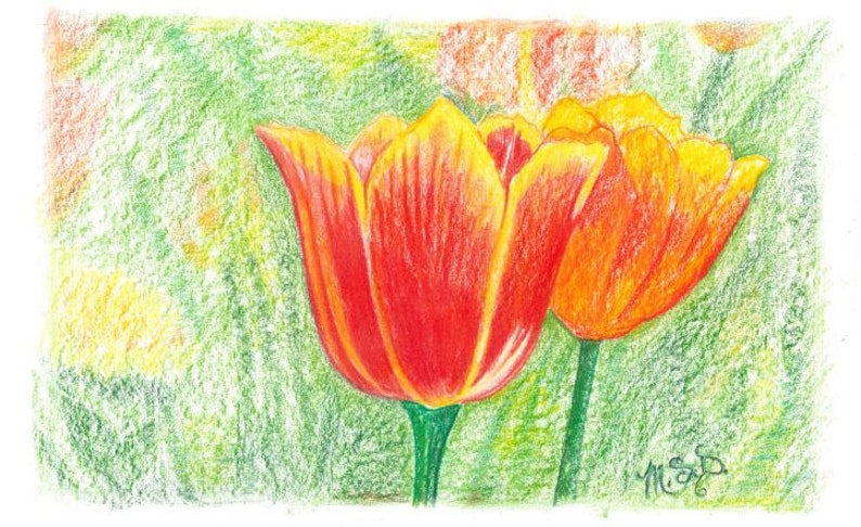 Op de afbeelding: Twee oranje en gele tulpen met groene stelen tegen een groene en gele achtergrond.