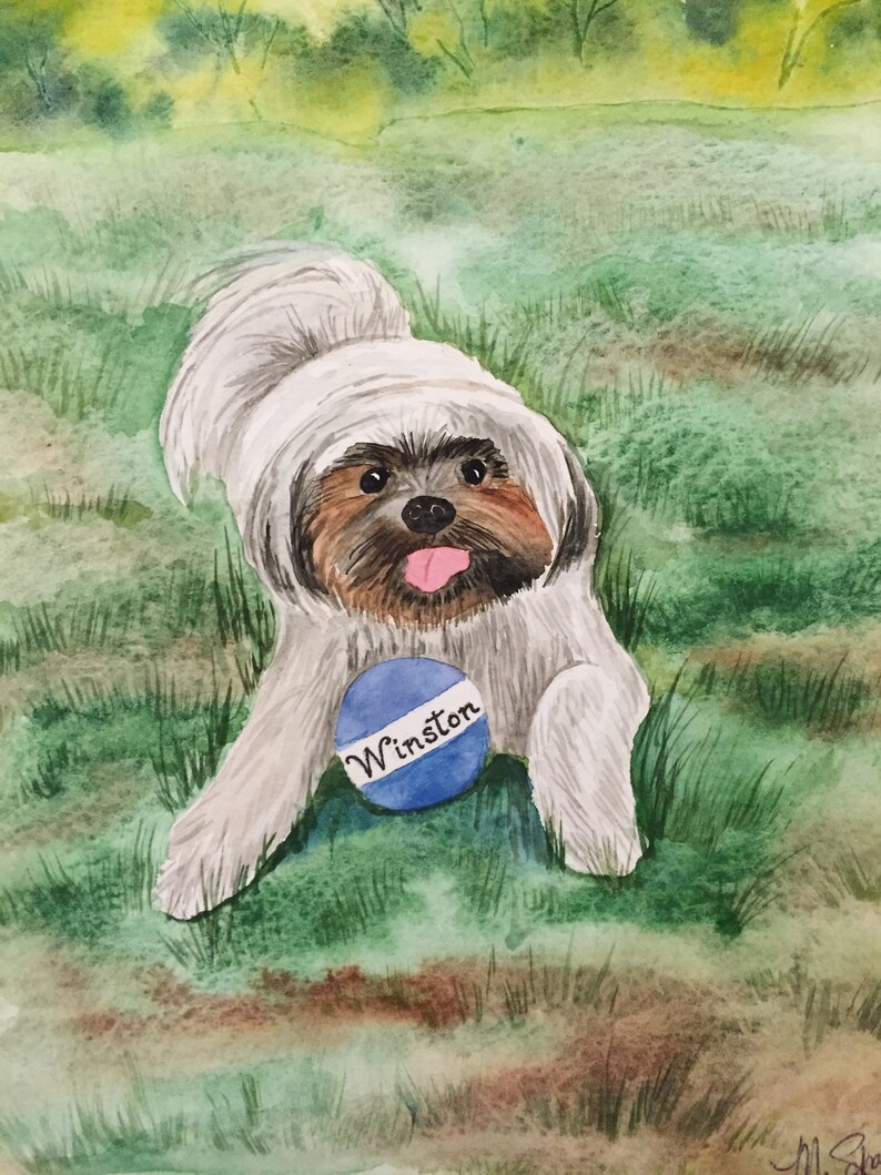 May include: A watercolor painting of a small, white dog with brown fur around its eyes and a pink tongue sticking out. The dog is holding a blue ball with the word "Winston" written on it. The dog is sitting in a field of green grass.