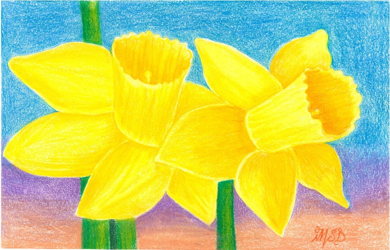 Op de afbeelding: Twee gele narcissen met groene stelen tegen een blauwe, paarse en oranje achtergrond.