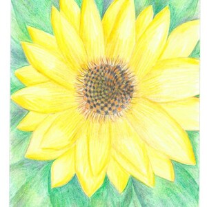 Op de afbeelding: Een close-up van een gele zonnebloem met een donkerbruin centrum. De zonnebloem wordt omringd door groene bladeren.