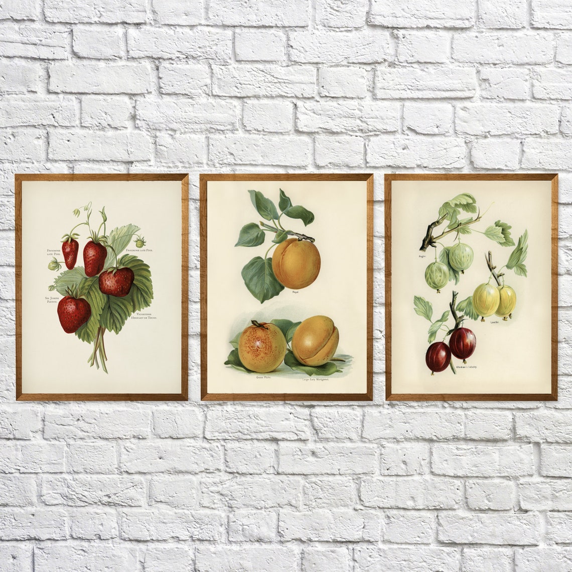 3 Fruit Wall Decor Fruit Wall Hanging Fruit Wall Print Etsy