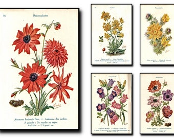 Botanical Print  Set Of 5,Botanical Wall Art, Botanical Art,Botanical Wall Art,Botanical Wall Decor -Botanical Wall Hanging -Wall Print