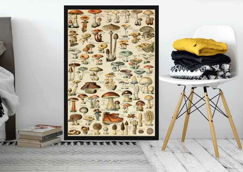 3 Mushroom Printmushroom Wall Decor mushroom Wall Hanging Etsy