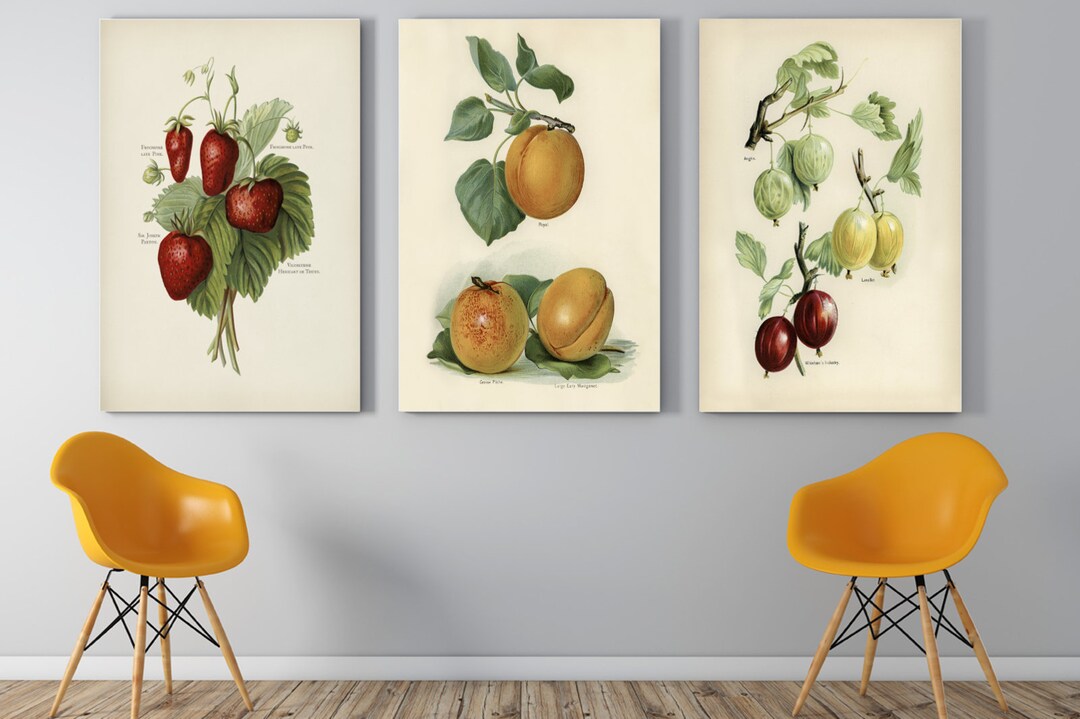 3 Fruit Wall Decor Fruit Wall Hanging Fruit Wall Print Etsy