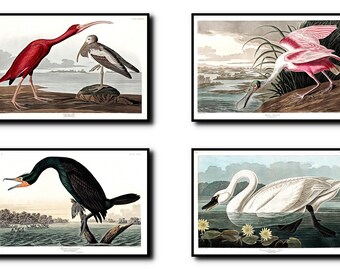 Vintage Bird Art Set Of 4 - Bird Music Sheet Art - Colorful Bird Art - Bird Print - Set Of Four Prints - INSTANT DOWNLOAD