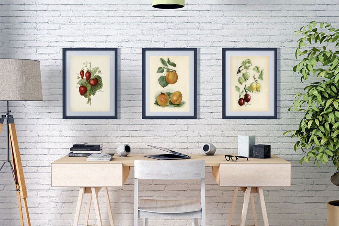 3 Fruit Wall Decor Fruit Wall Hanging Fruit Wall Print Etsy