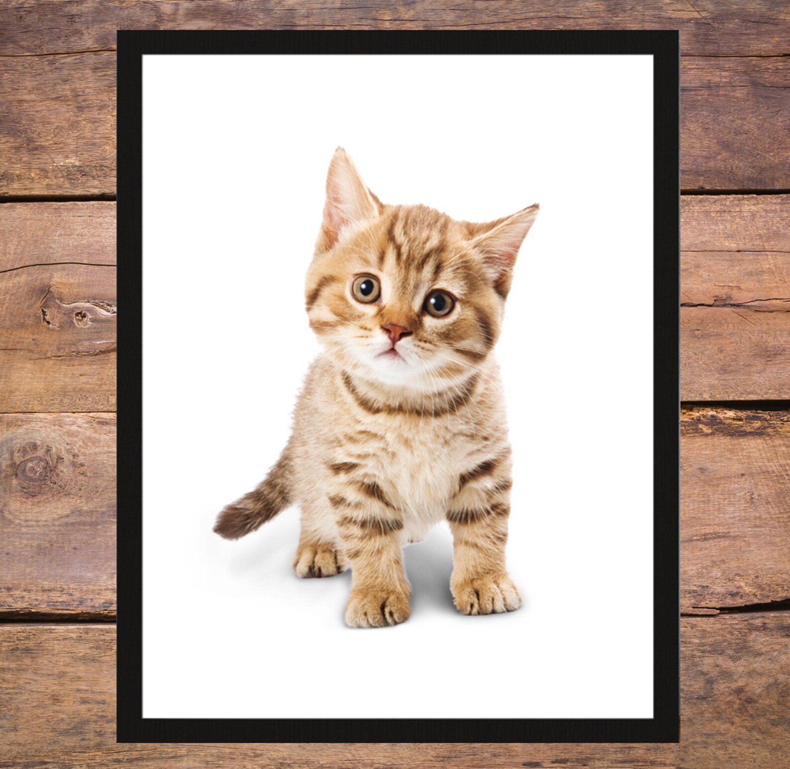 Cat Wall Decor Cat Wall Hanging Cat Wall Print Digital Etsy