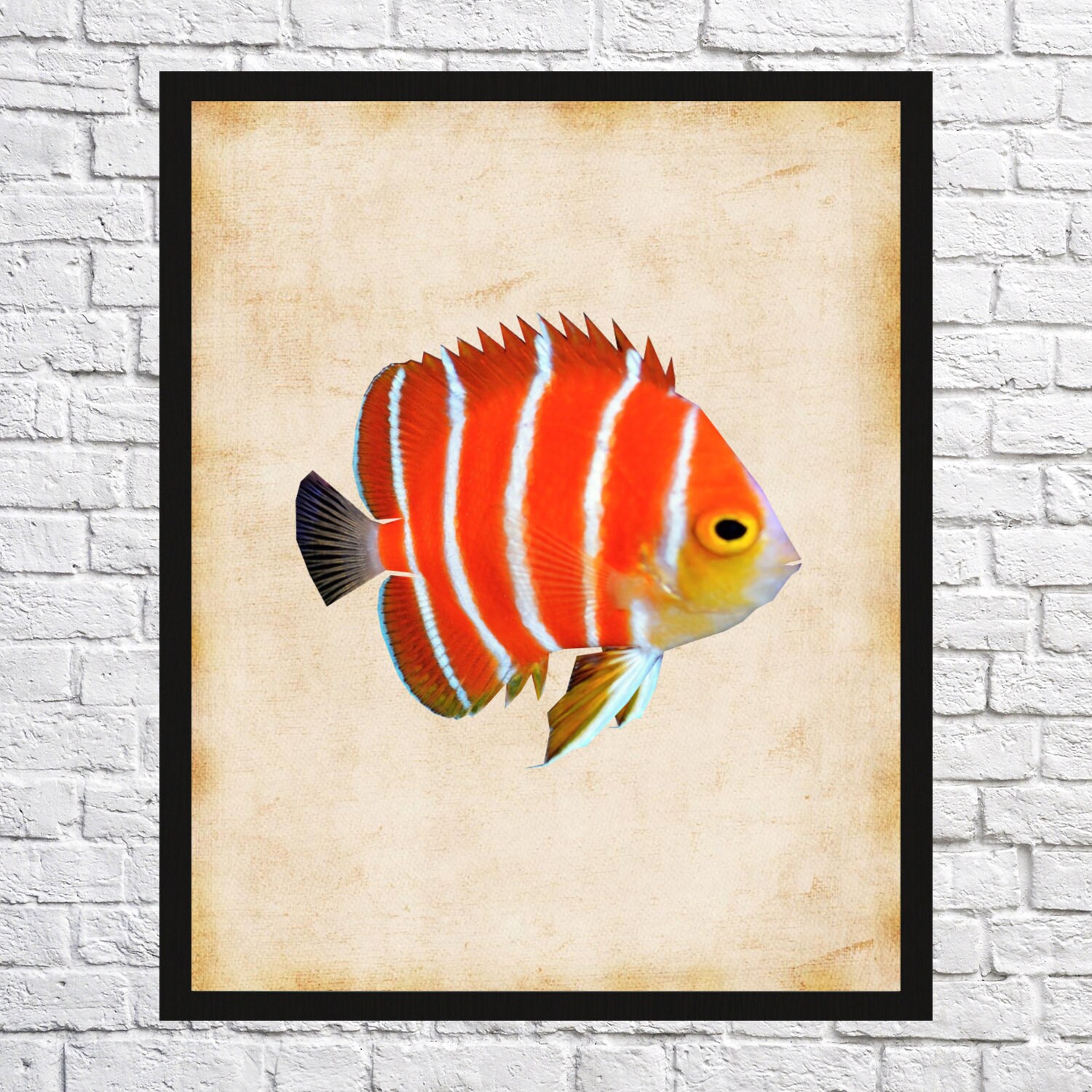 Fish Wall Art Fish Wall Decor Fish Wall Hanging Fish Wall | Etsy