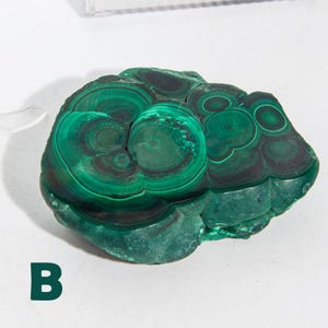 May include: A polished malachite stone with concentric patterns of dark and light green. The stone has a smooth, rounded shape and a natural, organic appearance. The letter "B" is printed in dark green on the bottom left of the image.