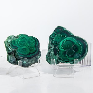 May include: Two polished malachite specimens, showcasing concentric patterns of deep green and black. The mineral formations are displayed on clear acrylic stands, highlighting their natural beauty. The background is a clean white.