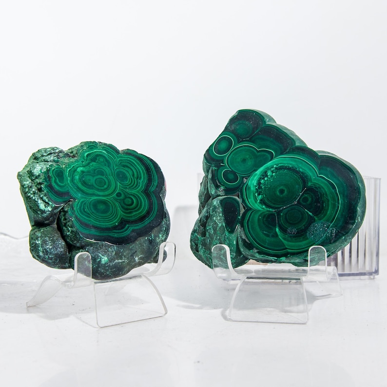 May include: Two polished malachite specimens, showcasing concentric patterns of deep green and black. The mineral formations are displayed on clear acrylic stands, highlighting their natural beauty. The background is a clean white.