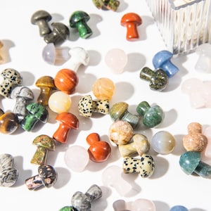 Wholesale Mixed Crystal Mini Mushrooms (Quantity optional)