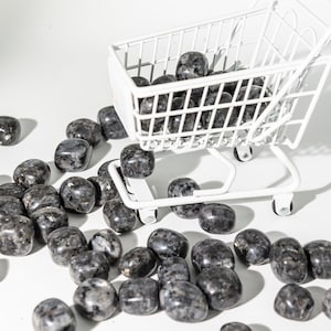 Wholesale 1 lbs Natural Black Amphibole Crystal Tumbles Stones Healing Crystal