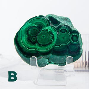 May include: A vibrant green malachite specimen with concentric patterns, displayed on a clear acrylic stand. The stone's surface showcases a rich interplay of light and dark green hues, creating a striking visual texture. The letter "B" is visible in the lower left corner.