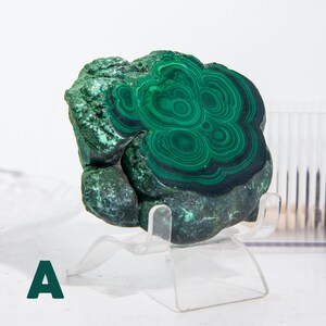May include: A polished malachite stone with concentric patterns of dark and light green. The stone is displayed on a clear acrylic stand, showcasing its natural beauty. The letter "A" is visible in the lower left corner.