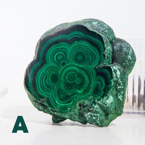 May include: A polished malachite stone with concentric patterns of dark and light green. The stone has a rounded shape with a rough, textured exterior. The letter "A" is visible in the lower left corner.