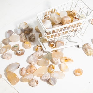 Wholesale 1 lbs Natural Flower Agate Crystal Tumbles Flower Agate Stones Healing Crystal