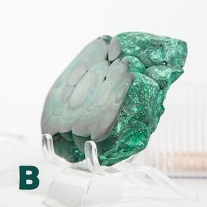 May include: A polished malachite specimen, showcasing concentric bands of deep green and gray hues. The mineral is displayed on a clear acrylic stand, highlighting its natural patterns and textures. The letter "B" is visible in the lower left corner.
