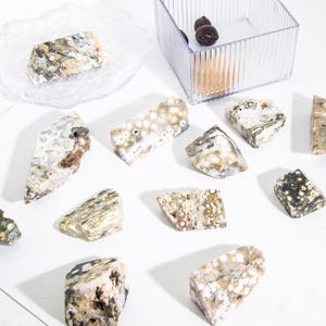 Wholesale Lot 1 lbs Ocean Jasper Free Form Healing Crystal Decor Gift