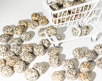 Op de afbeelding: Dalmatiërjaspis stenen, elk met een crème basis en zwarte vlekken, liggen verspreid rond een kleine witte winkelwagen. De stenen variëren in grootte en vorm, wat een natuurlijke, organische uitstraling creëert.
