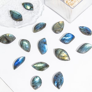 Wholesale Lot 1/2lbs Natural Labradorite Mix Tears/Leaves Healing Crystal