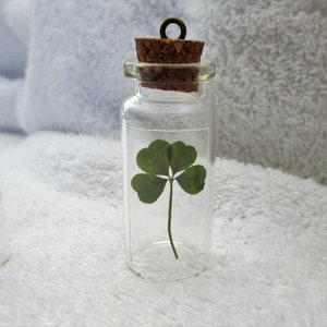 May include: A small glass bottle with a cork stopper and a metal loop. Inside the bottle is a preserved four-leaf clover.