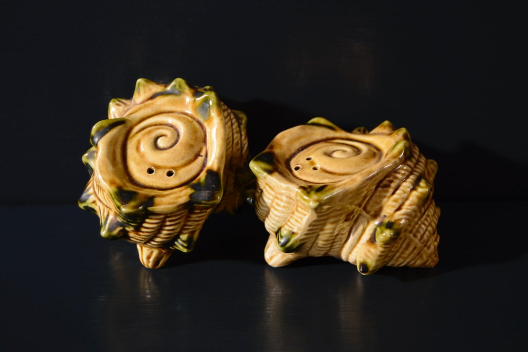 Conch Shell Salt & Pepper Shakers Etsy