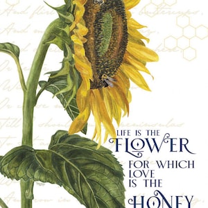 Riley Blake Honey Bees and Flowers Please by Tara Reed - Life is the Flower Panel Fabric, Sold by the Panel