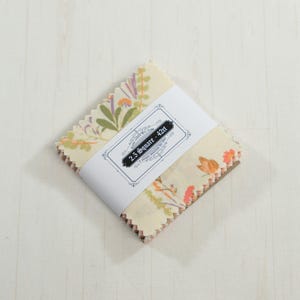 Puede incluir: Un paquete de cuadrados de tela de 6,35 cm con un estampado floral en naranja, verde y morado sobre un fondo crema. La tela está envuelta con una banda blanca que dice "2.5 Square - 42ct."