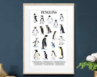 Penguin Poster | Illustrated Penguins | identification Poster | Natural History | Nature Print