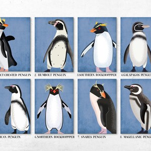Penguin Prints Illustrated Penguins Individual Prints - Etsy