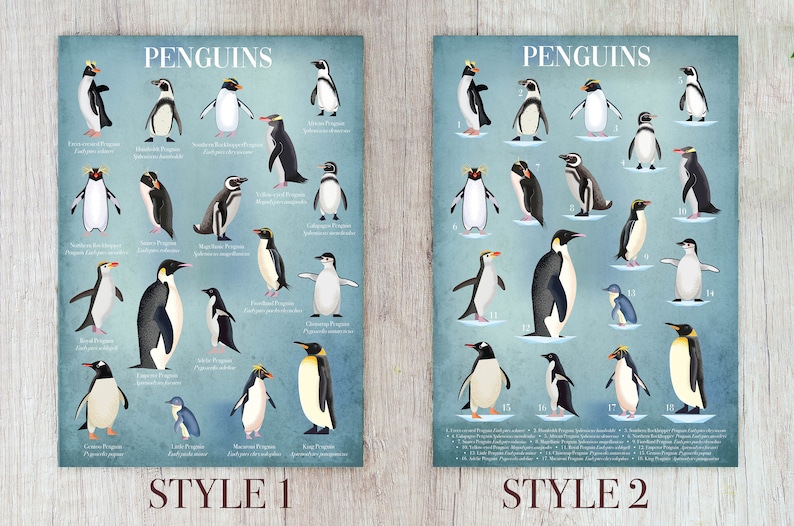 Penguin Poster Illustrated Penguins identification Poster | Etsy