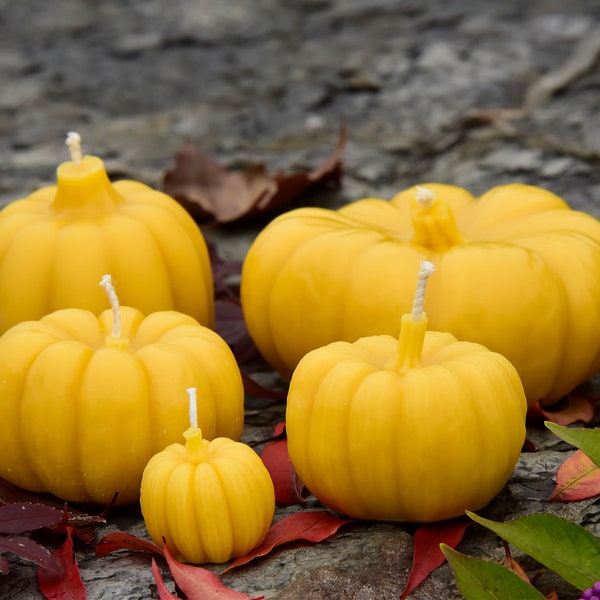 Pumpkin Candles | Pure Beeswax | Handcrafted | Natural Honey Fragrance