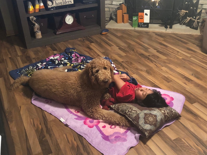 Op de afbeelding: Een jong persoon in een rood shirt ligt op een paarse deken met een bruine en witte hond. De hond rust zijn hoofd op de arm van de persoon. De persoon houdt een bruin kussen met een bloemenpatroon vast.