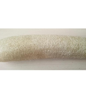 May include: A natural loofah sponge in a beige hue. The elongated, cylindrical shape is made of interwoven fibres. The loofah is a light beige colour and appears dry. It is a natural product used for exfoliating the skin.