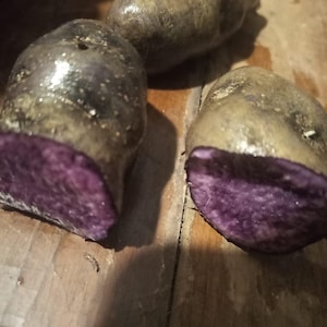 Peut inclure: Trois pommes de terre violettes, dont deux coupées pour révéler la chair violette. Les pommes de terre ont une peau foncée et légèrement brillante. L'image est prise sur une surface en bois.
