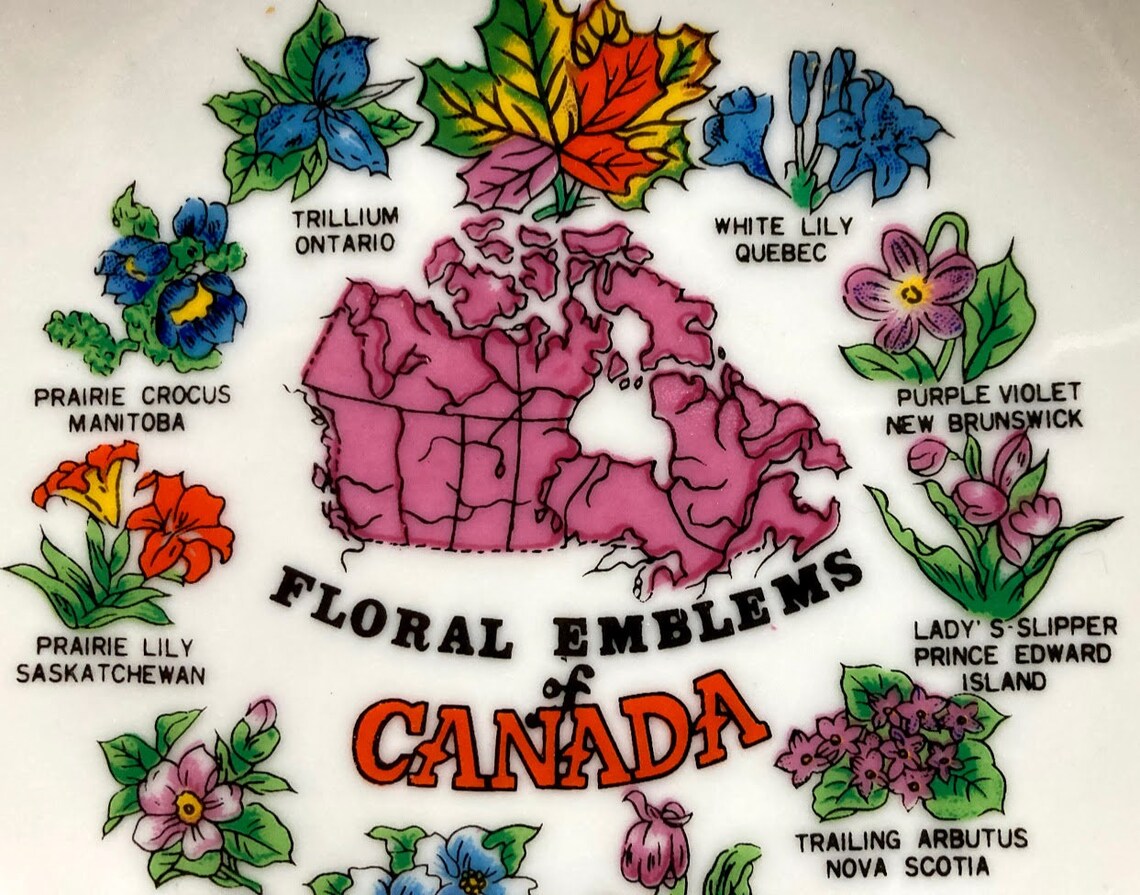 Floral Emblems of Canadian Provinces Plate Etsy UK
