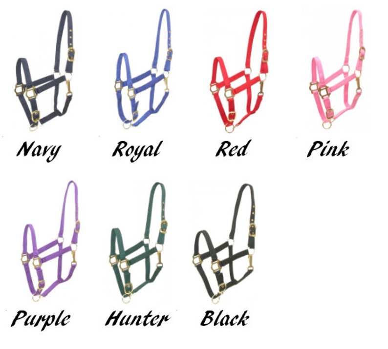 Personalized Horse Halter Horse Name on Halter Barn Name on Etsy