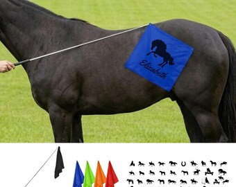 Personalized Horse Telescoping Training Flag, Livestock Flag, Name on Training Flag, Horse Training Whip, Horsemanship Flag, Horse Awards