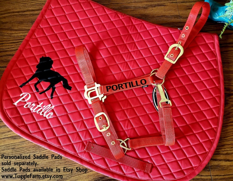 Personalized Horse Halter Horse Name on Halter Barn Name on Etsy