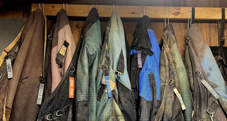 May include: A row of jackets in various colors, including brown, green, and blue, hang from hooks. Each jacket has a tag with a name, such as "LADY", "COLE", and "SHUG". The jackets appear to be made of durable materials.