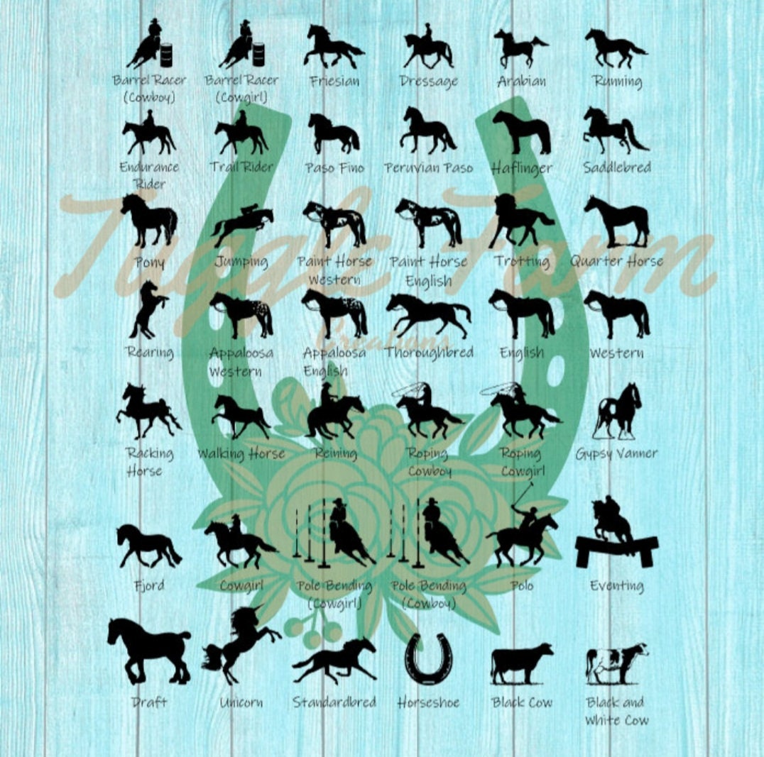 Personalized Horse Blanket Bag, Personalized Horse Supply, Horse Grooming Bag, Custom Horse Tote, Horse First Aid, Hanging Stall Storage Bag