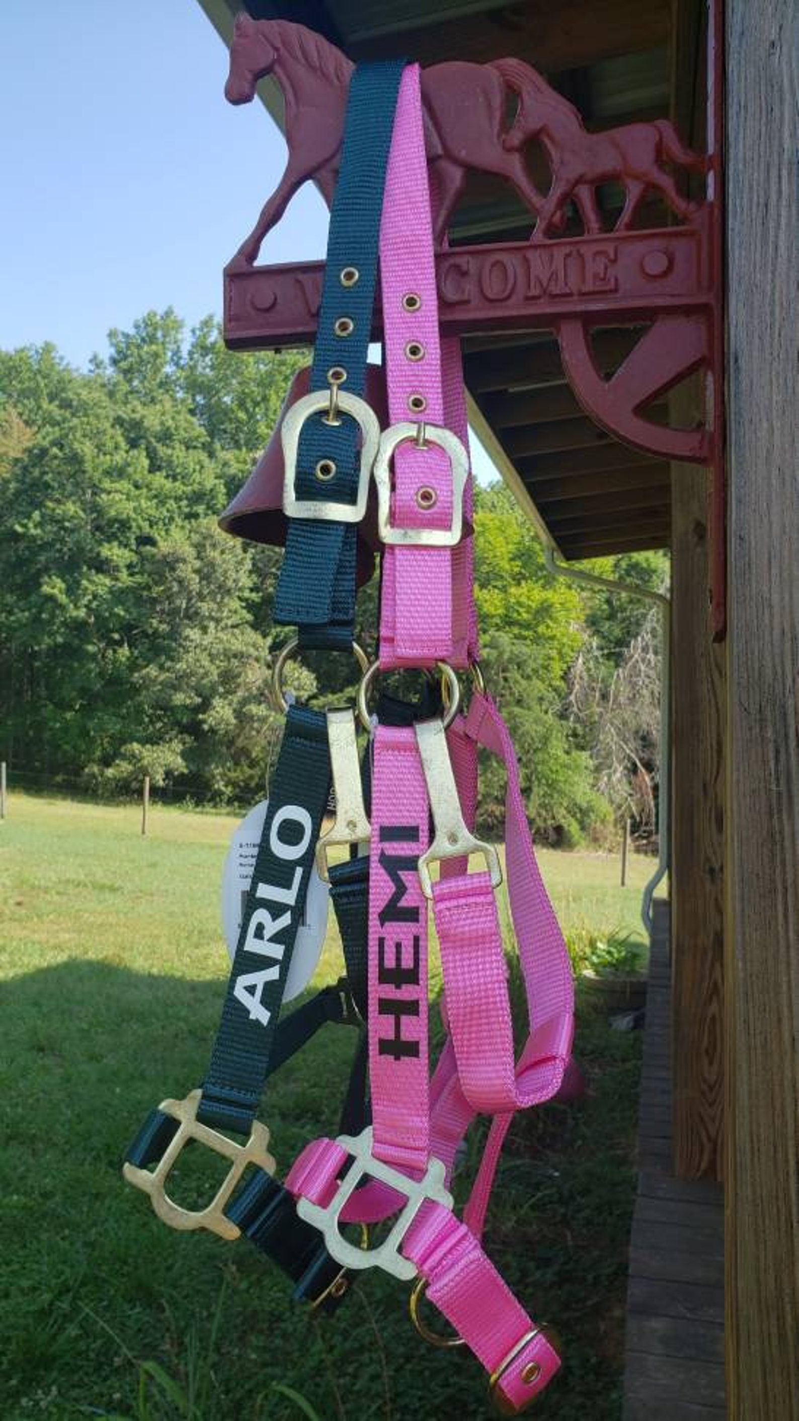 Personalized Horse Halter Horse Name on Halter Barn Name on Etsy
