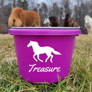 Horse Decal, Bucket Decal, Cow Decal, Farm Decal, Horse gift, Horse and Rider name, Horse name, Barn Decal, Farm, Horse Helmet Decal