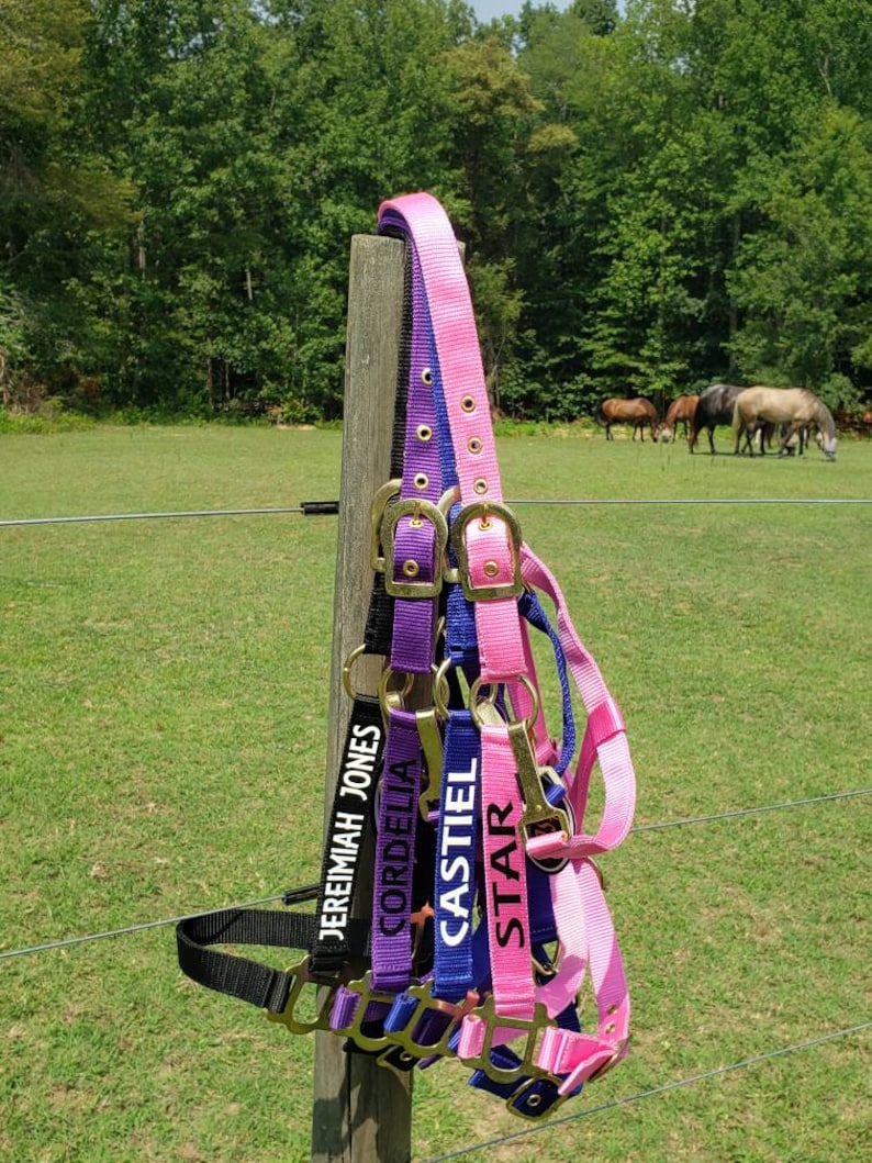 Personalized Horse Halter Horse Name on Halter Barn Name on Etsy