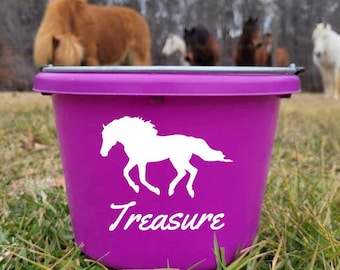 Horse Decal, Bucket Decal, Cow Decal, Farm Decal, Horse gift, Horse and Rider name, Horse name, Barn Decal, Farm, Horse Helmet Decal