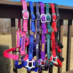 Personalized Horse Halter, Cob Halter, Pony Halter, Horse Name on Halter, Adjustable Horse Halter, Custom Halter, Horse gift, Custom Tack