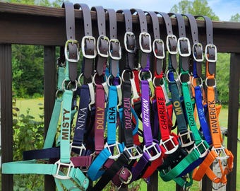 Personalized Breakaway Horse Halter, Cob Halter, Horse Name on Halter, Adjustable Horse Halter, Custom Halter, Horse gift, Horse Awards