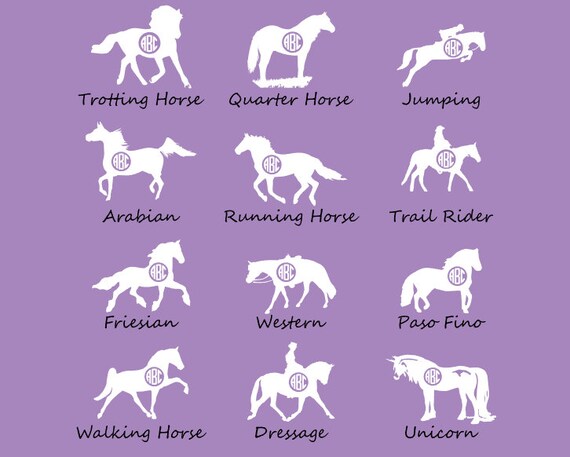 Horse apparel outlet