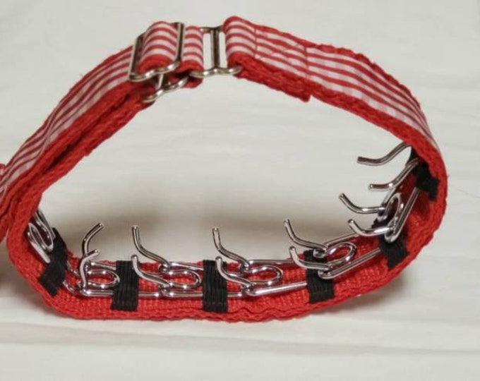 Martingale Dog Collar With Prongs Etsy